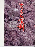 表紙